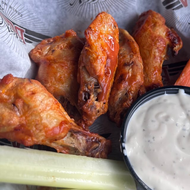 Large Wings (10).